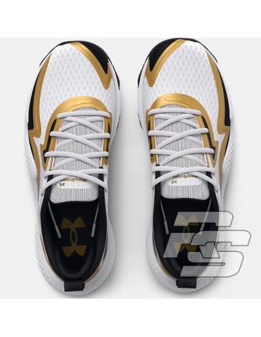 Buty do koszykówki Under Armour Spawn 5 3026285 101