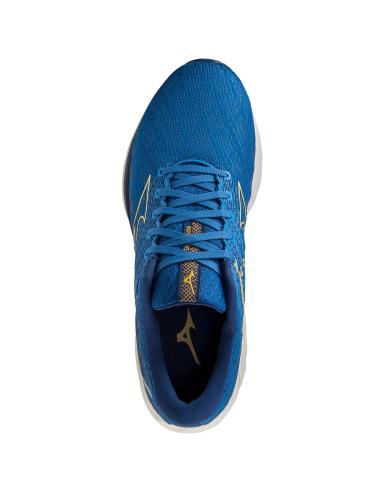 Buty Mizuno WAVE INSPIRE J1GC234406
