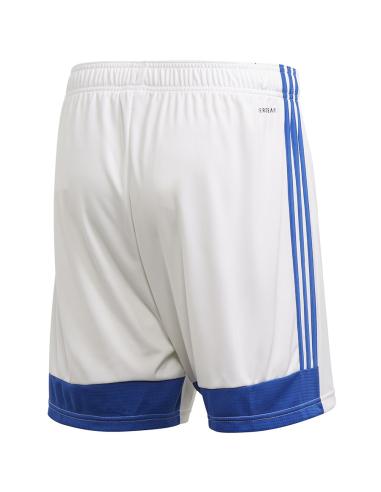 Spodenki adidas Tastigo 19 FL7789