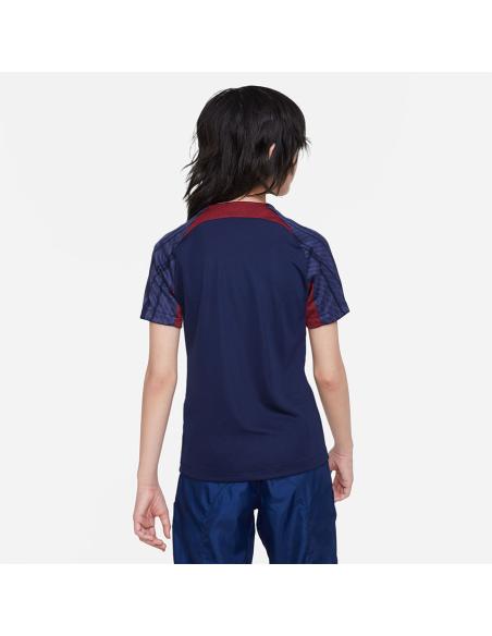Koszulka Nike PSG Strike DX3081-499