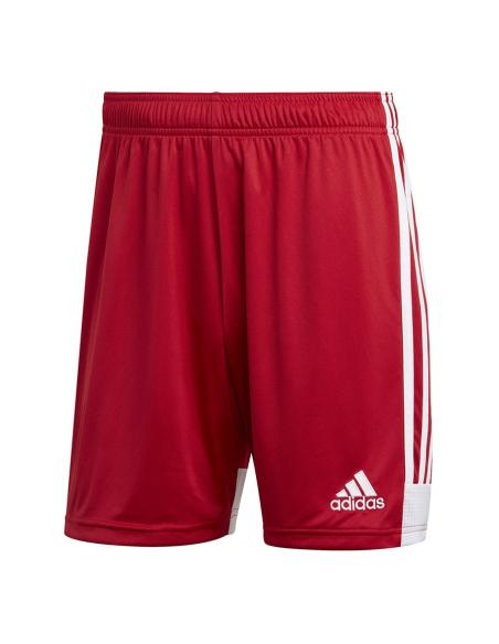 Spodenki adidas Tastigo 19 DP3681