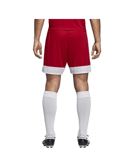 Spodenki adidas Tastigo 19 DP3681