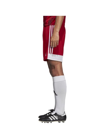 Spodenki adidas Tastigo 19 DP3681
