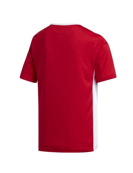 Koszulka adidas Entrada 18 JSY Y CF1050