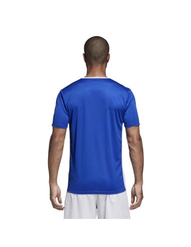 Koszulka adidas Entrada 18 JSY CF1037