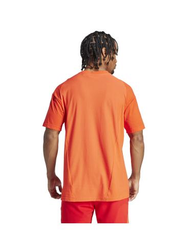 Koszulka adidas FC Bayern CO Tee IQ0601