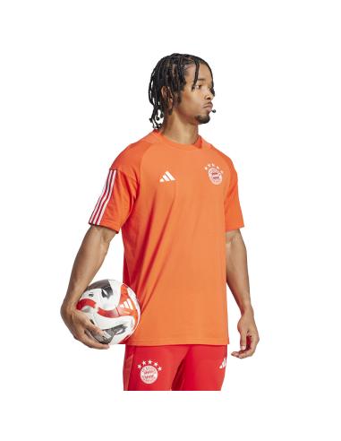Koszulka adidas FC Bayern CO Tee IQ0601