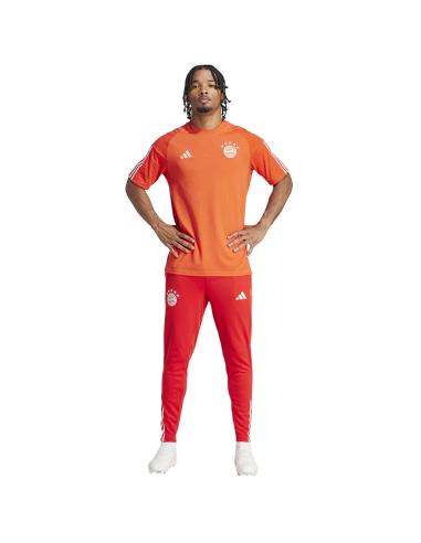 Koszulka adidas FC Bayern CO Tee IQ0601