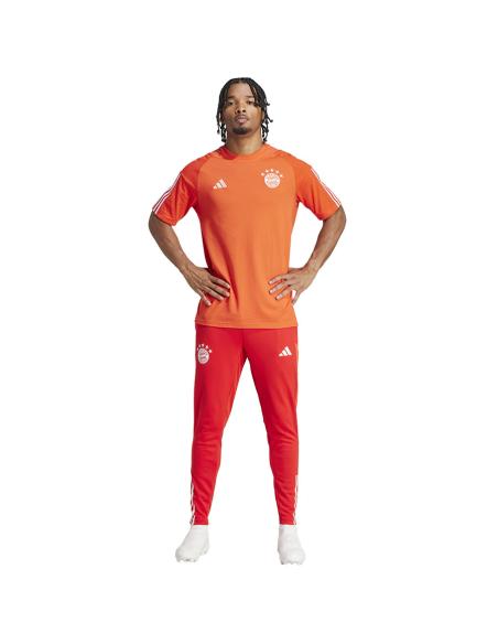 Koszulka adidas FC Bayern CO Tee IQ0601