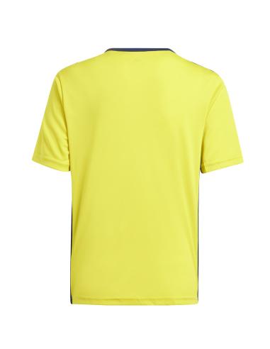 Koszulka adidas Entrada 18 JSY GT6834