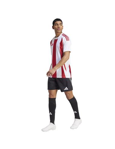 Koszulka adidas STRIPED 24 JSY IW2142