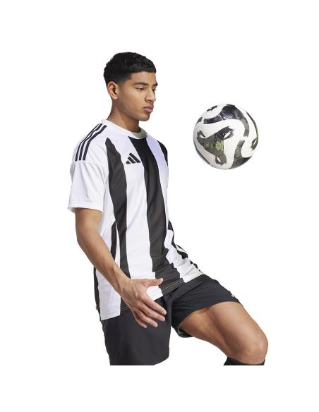 Koszulka adidas STRIPED 24 JSY IW2143