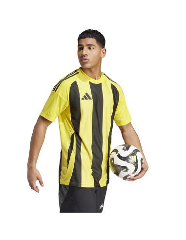 Koszulka adidas STRIPED 24 JSY IW2146