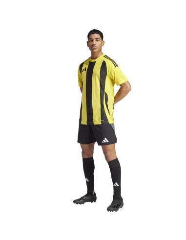 Koszulka adidas STRIPED 24 JSY IW2146