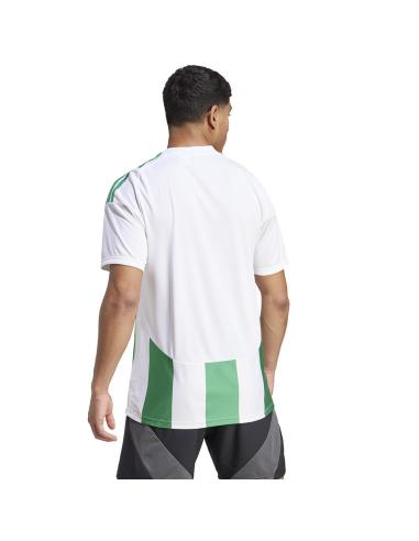 Koszulka adidas STRIPED 24 JSY IW2148