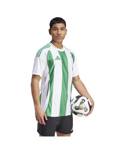 Koszulka adidas STRIPED 24 JSY IW2148