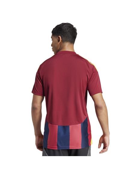 Koszulka adidas STRIPED 24 JSY IW2149