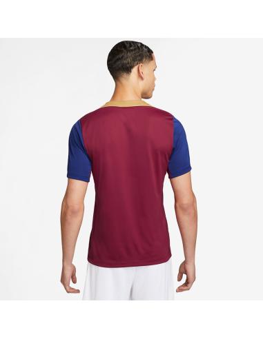 Koszulka Nike FC Barcelona Strike SS Top FJ5439-621