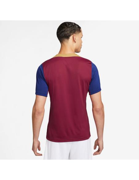 Koszulka Nike FC Barcelona Strike SS Top FJ5439-621