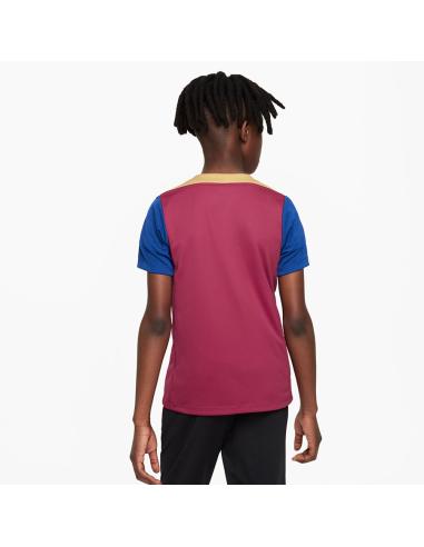 Koszulka Nike FC Barcelona Strike SS Top Jr FJ5533-621