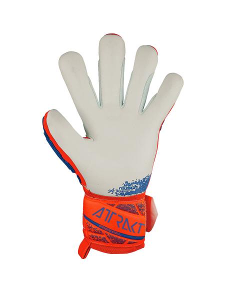 Rękawice Reusch Attrakt Freegel Silver 54 70 235 2210