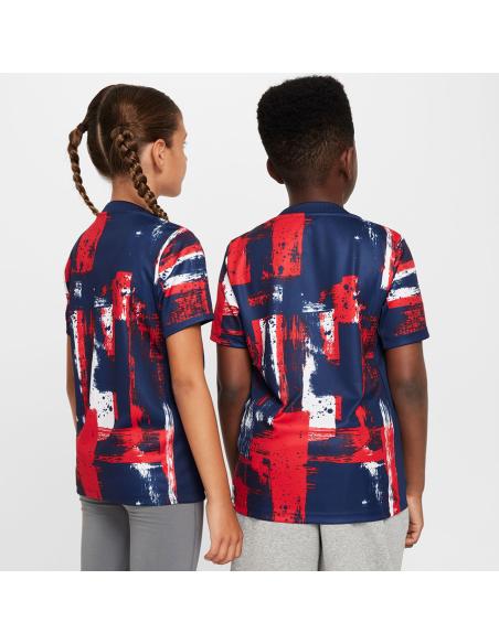 Koszulka Nike PSG Academy Pro SStop PM Jr FQ0015-411