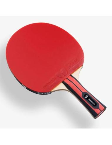 Rakietka Butterfly Team Champion