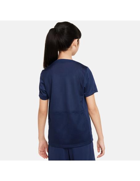 Koszulka Nike PSG Academy SS Top Jr FQ0022-411