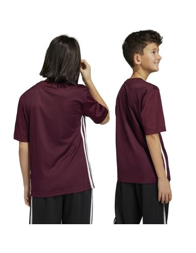 Koszulka adidas Tabela 23 JSY IB4933