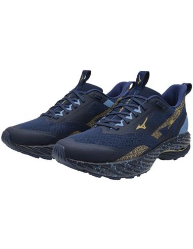 Buty Mizuno WAVE RIDER TT 2 J1GC243201