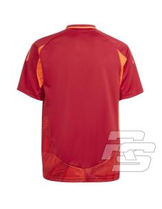 Koszulka adidas TIRO 24 JSY Match Jr IQ4766 2