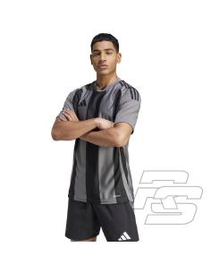 Koszulka adidas STRIPED 24 JSY IW2145