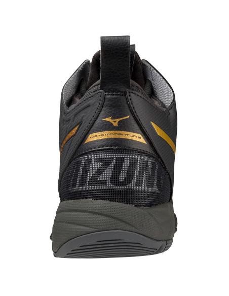 Buty Mizuno WAVE MOMENTUM 2 V1GA211741