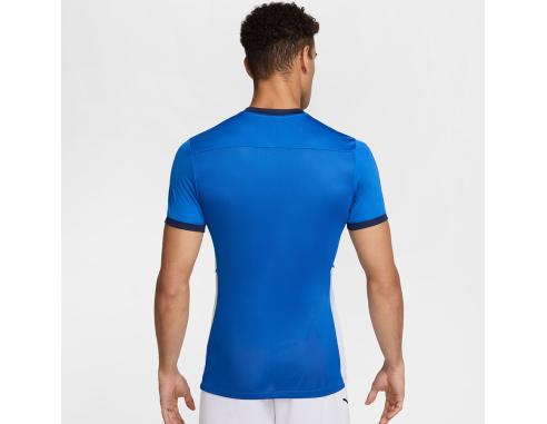 Koszulka Nike Academy 25 SS Top FZ9754-463
