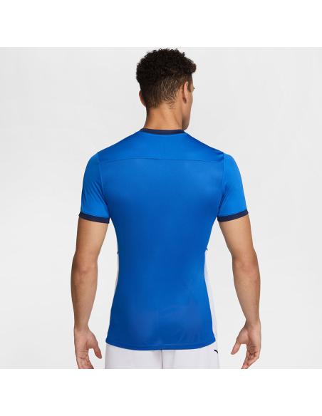 Koszulka Nike Academy 25 SS Top FZ9754-463