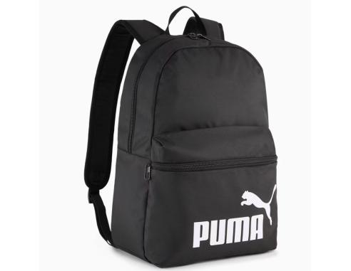 Pleack Puma Phase 091164-01