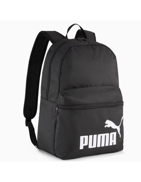 Pleack Puma Phase 091164-01