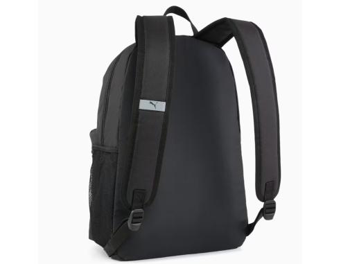 Pleack Puma Phase 091164-01