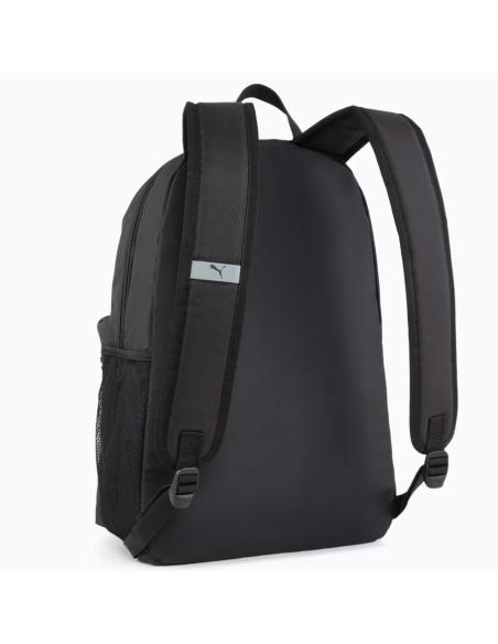 Pleack Puma Phase 091164-01