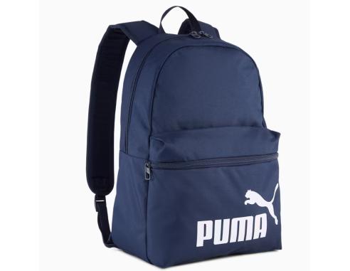 Pleack Puma Phase 091164-02