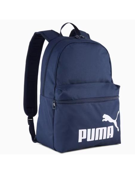 Pleack Puma Phase 091164-02
