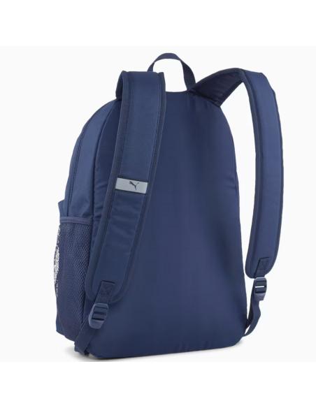 Pleack Puma Phase 091164-02