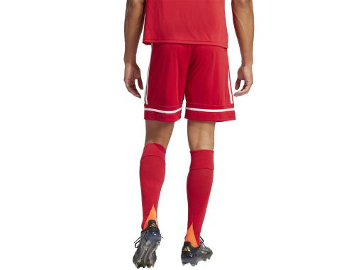 Spodenki adidas SQUADRA 25 Short JN5466