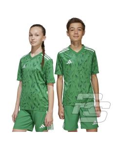 Koszulka adidas Team Icon 25 JSY Jr JJ1956