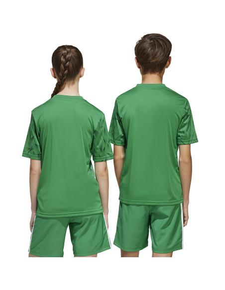 Koszulka adidas Team Icon 25 JSY Jr JJ1956