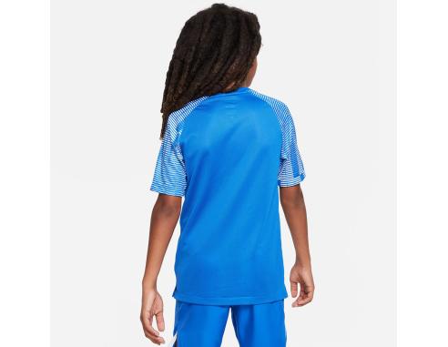 Koszulka piłkarska Nike Dri-Fit Academy JSY Jr DH8369-463
