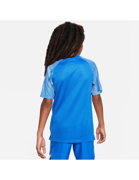 Koszulka piłkarska Nike Dri-Fit Academy JSY Jr DH8369-463