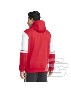 Bluza adidas SQUADRA 25 Sweet Hoody JD2973 2