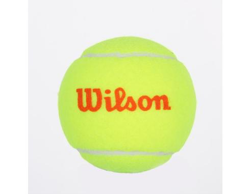 Piłka tenisowa Wilson Starter Orange