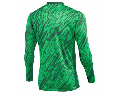 Bluza Nike Gardien V Goalkeeper DF V FD7474-329